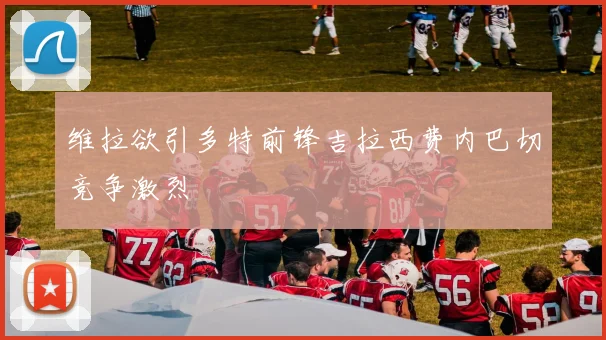 维拉欲引多特前锋吉拉西费内巴切竞争激烈